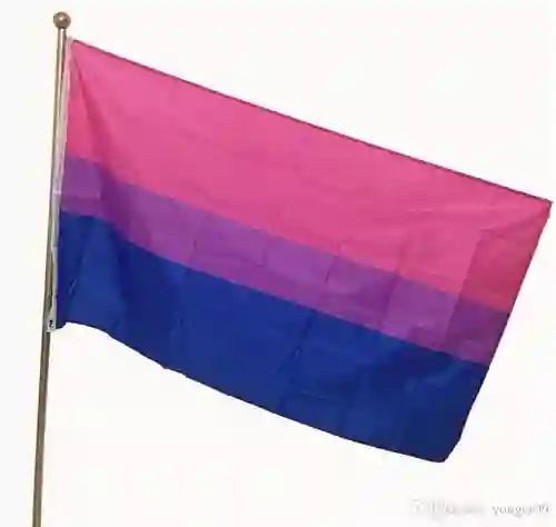 Bandera Orgullo Bisexual Pride Lgbt Arcoiris Grande 1.5m X 3m