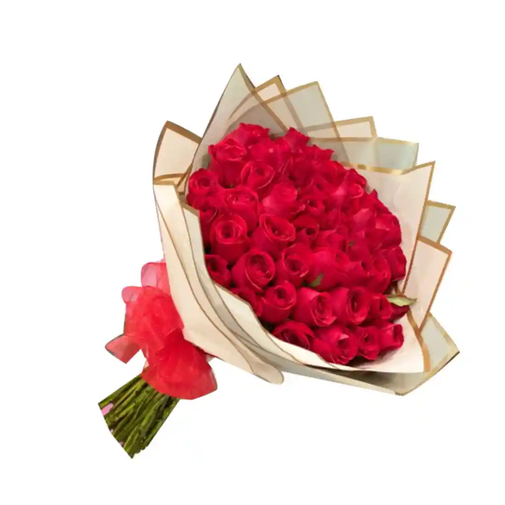 50 Rosas Rojas
