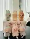 Labubu Sorpresa - Labubu
