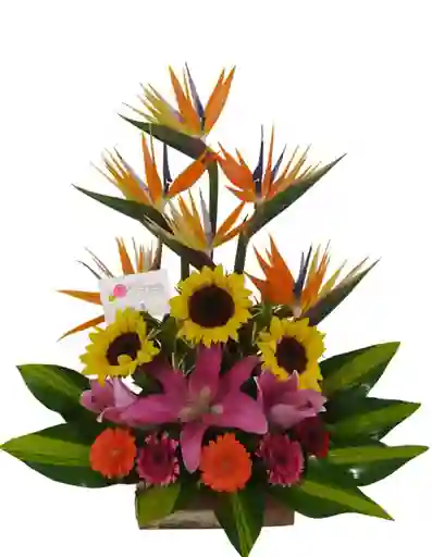 Flores Clasico 1