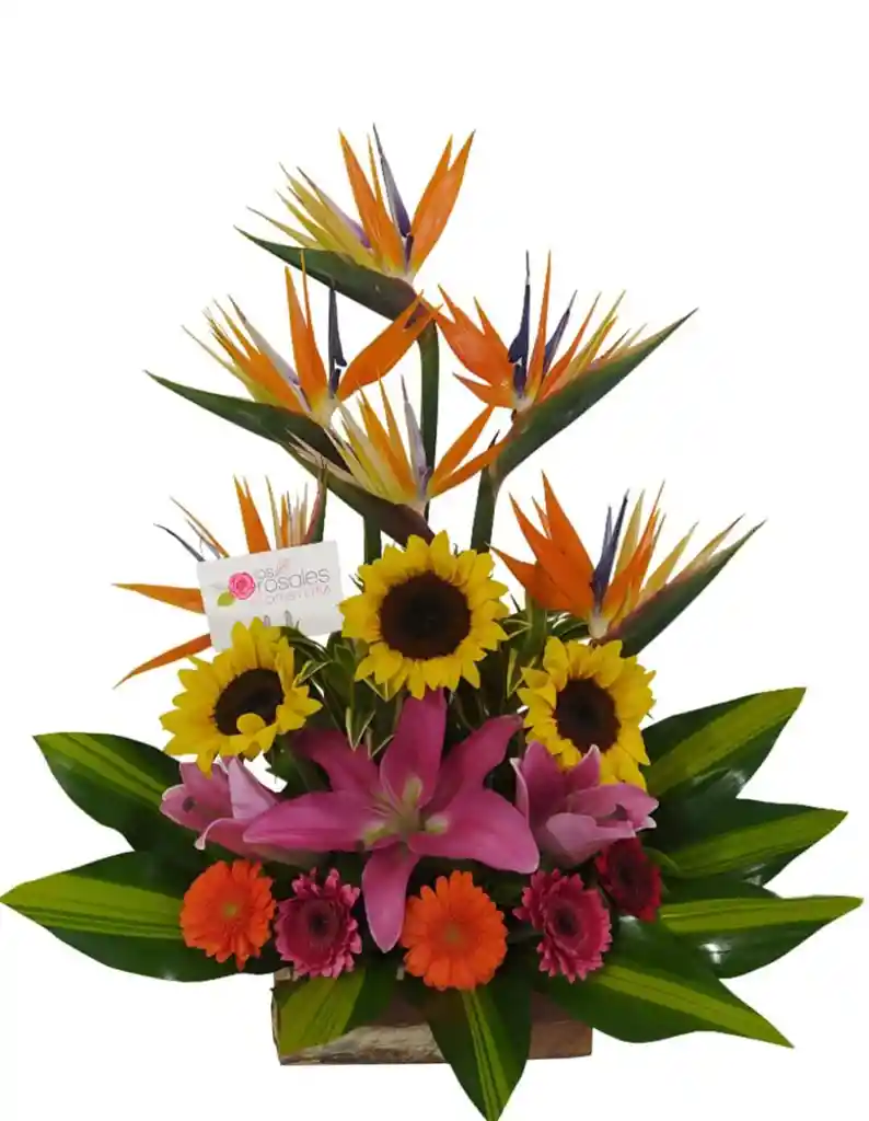 Flores Clasico 1