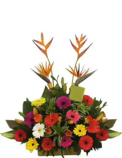 Flores Clasico 2