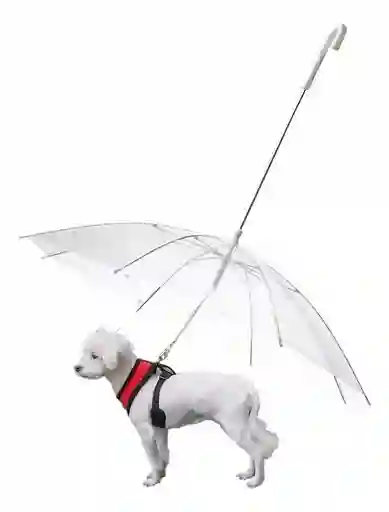 Sombrilla Impermeable Mascota Perro Gato Capa Poncho Lluvia