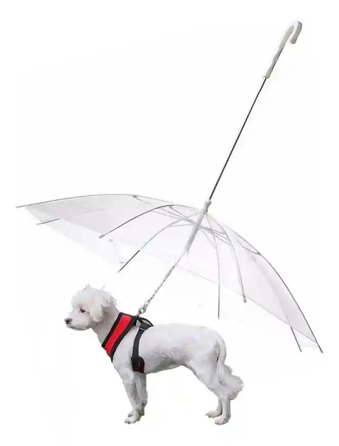 Sombrilla Impermeable Mascota Perro Gato Capa Poncho Lluvia