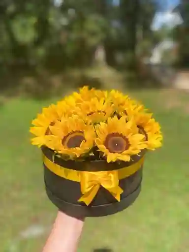 Cajas Con Girasoles