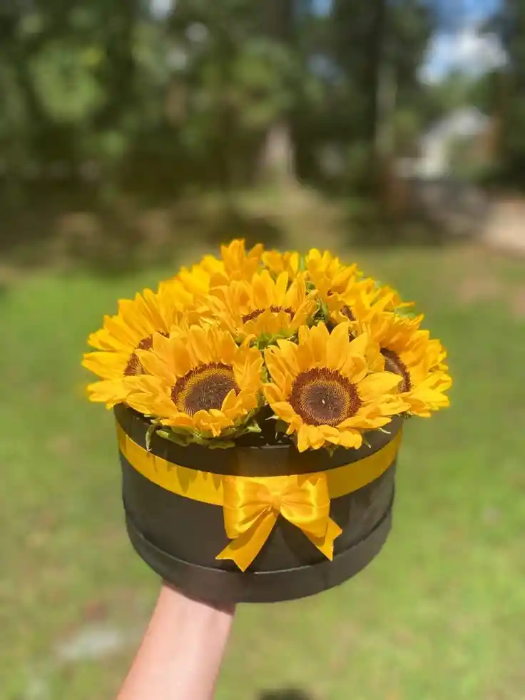 Cajas Con Girasoles