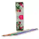 Lapices De Grafito Norma Redondo Kiut N° 2 / Hb X10unds