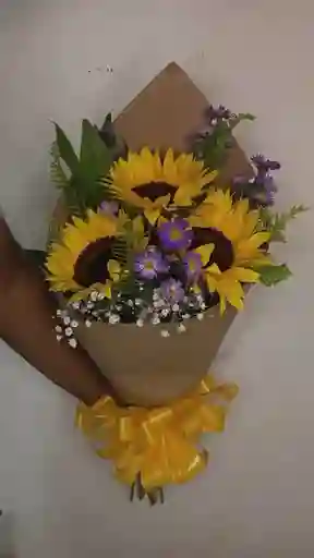 Ramo Primavera