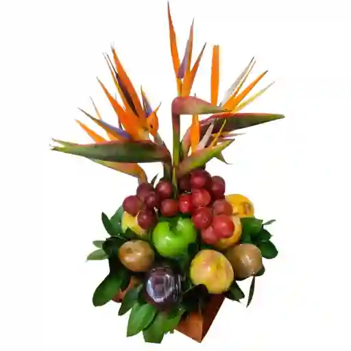 Flores Aves Del Paraíso Y Frutas