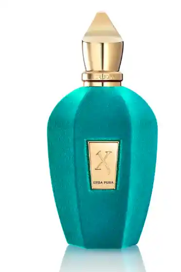 Perfume Xerjoff Erba Pura Eau De Parfum Premium 100 Ml Unisex
