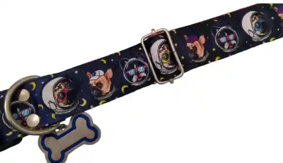 Collar Estampado Perro Galaxia Talla L