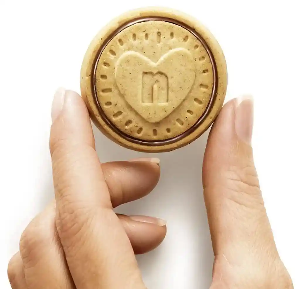 Galletas Rellena Nutella Biscuits 276g