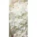 Coco Deshidratado 50 Gramos