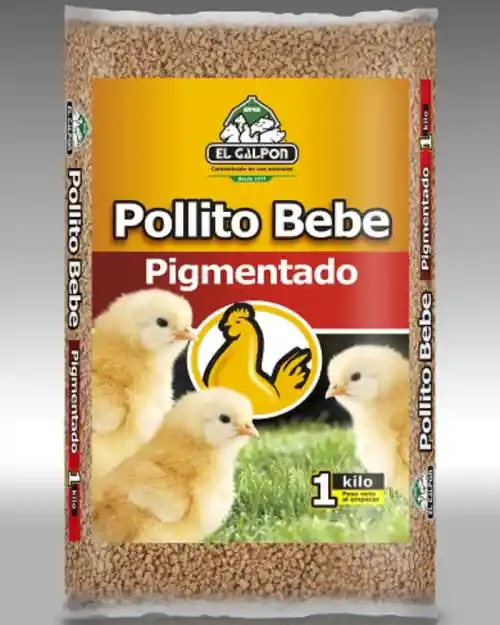 Pollito Bb Pigmentado 1 Kg X Und