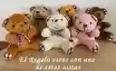 Regalo Detalle Oso Teddy Bear Con Chocolates Y Gomitas Para Cualquier Ocasion