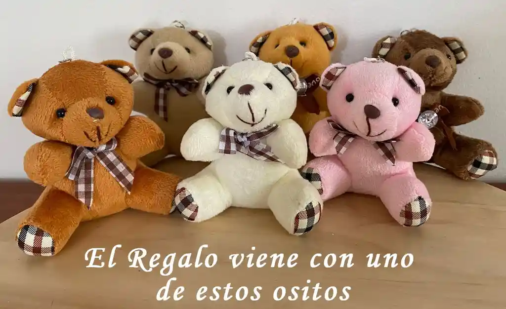 Regalo Detalle Oso Teddy Bear Con Chocolates Y Gomitas Para Cualquier Ocasion