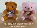 Regalo Detalle Oso Teddy Bear Moño De Flor Y Chocolates Para Cualquier Ocasión