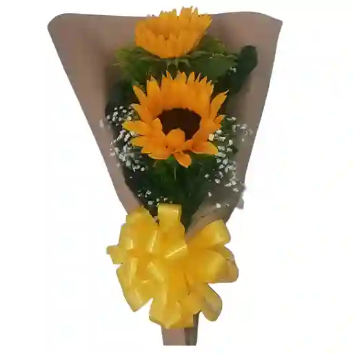 Bouquet X 2 Girasoles