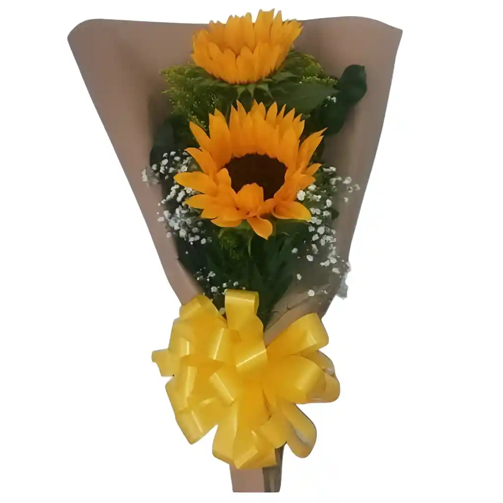 Bouquet X 2 Girasoles