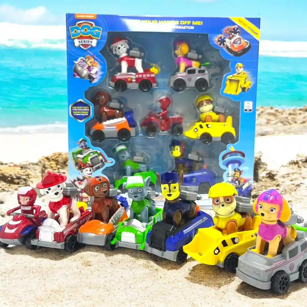Colección De Juguetes De Fricción Kit 9 Carros Paw Patrol