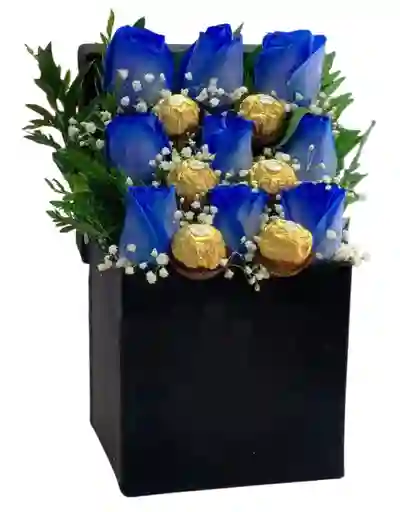 Caja Sofistic