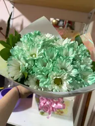 Flores De Margaritas