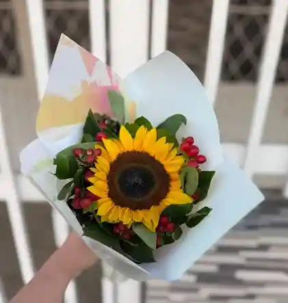 Girasol De Lujo X 1und