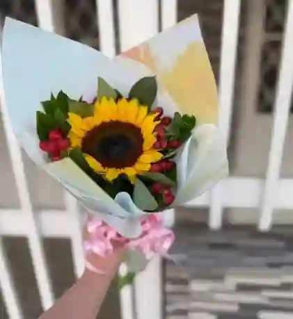 Girasol De Lujo X 1und