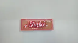 Rubor Duo Blusher Ushas #2