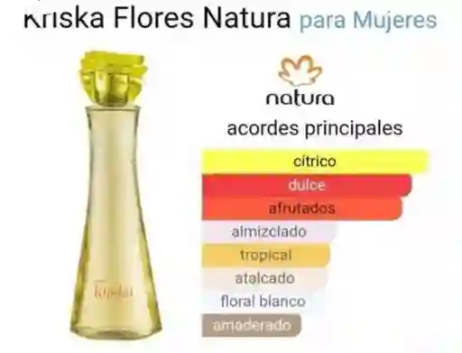 Kit Kriska Flores