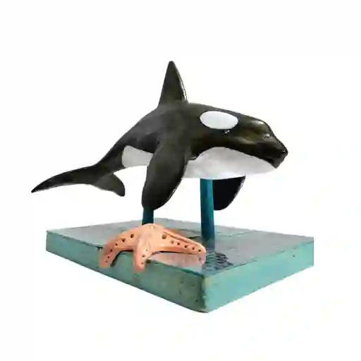 Ballena - Decoración Artesanal