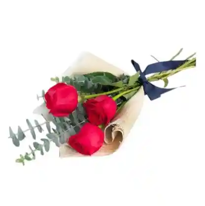 Bouquet Rosas Rojas X3