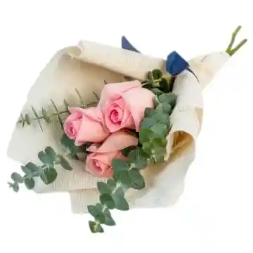 Bouquet Rosas Rosadas X3