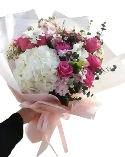 Flores Aurora