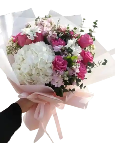 Flores Aurora