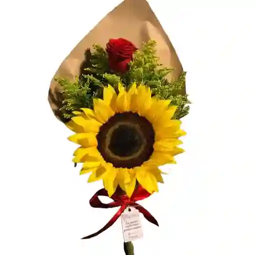 Bouquet De 1 Rosa Roja Y 1 Girasol