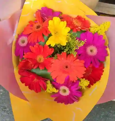 Ramo De Gerberas