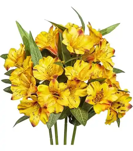 Astromelias Flores