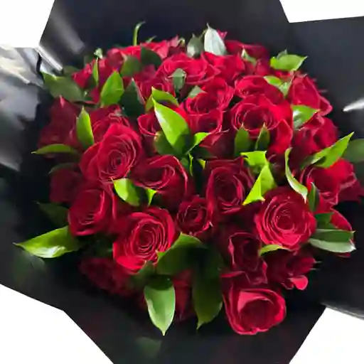 Arreglo Rosas 48 Rosas Rojas