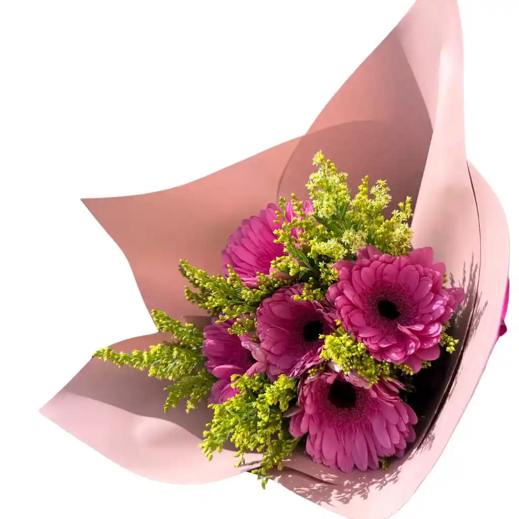 Flores De Garberas X 5 Und