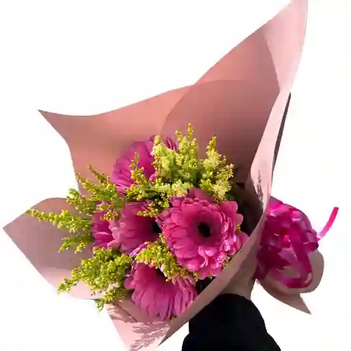 Flores De Garberas X 5 Und