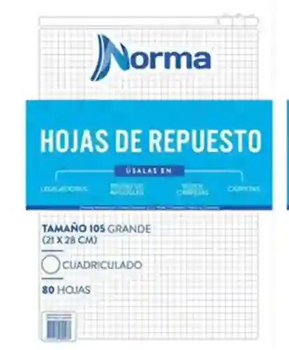 Norma Repuesto Para Folder Carta Cuadriculado