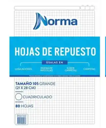 Norma Repuesto Para Folder Carta Cuadriculado