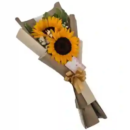 Bouquet De 2 Girasoles