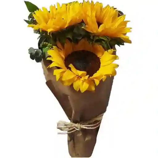 Ramo O Bouquet De 3 Girasoles