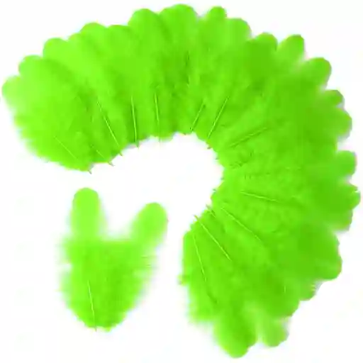 Plumas Pequeñas Verde Biche X16 Und