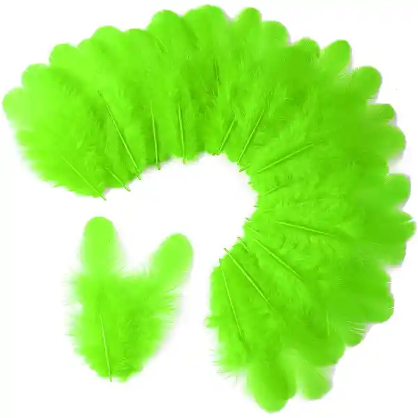 Plumas Pequeñas Verde Biche X16 Und