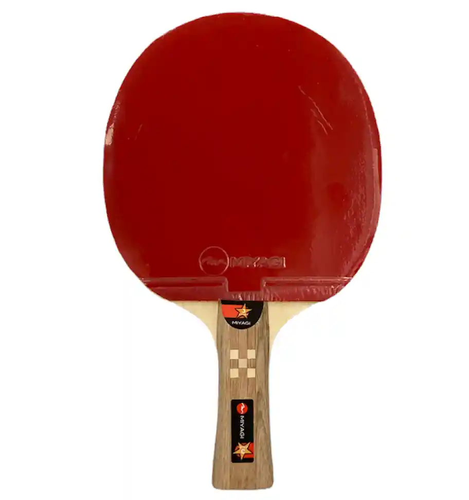 Raqueta De Ping Pong, Tenis De Mesa Miyagi 3 Stars Original