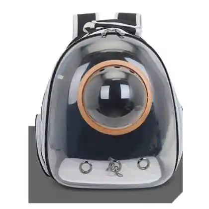 Maleta Transpatrente Capsula (pb12c)