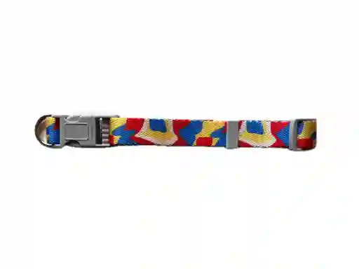 Collar Para Perro - Razas Pequeñas